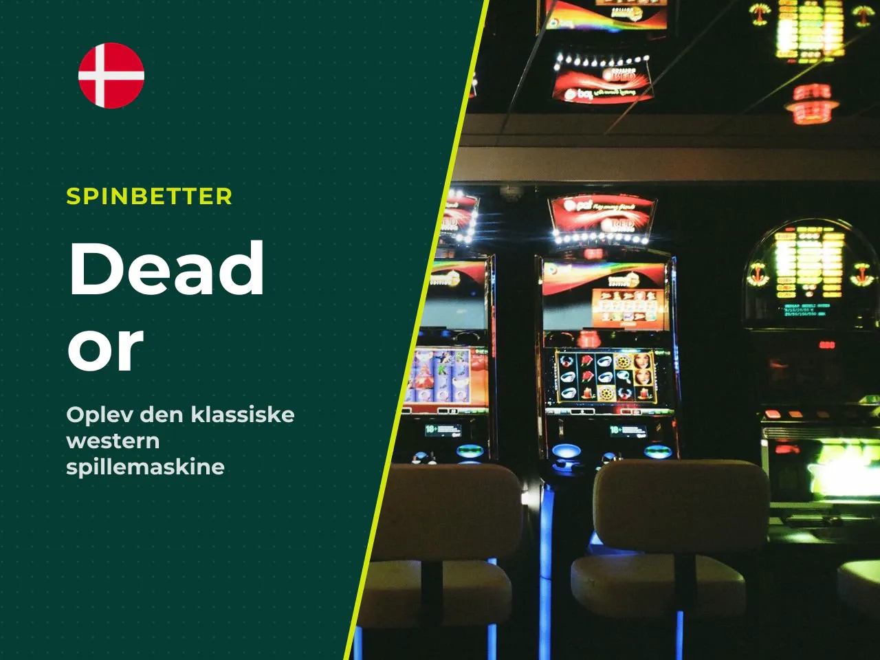 Dead or Alive, hvad er det