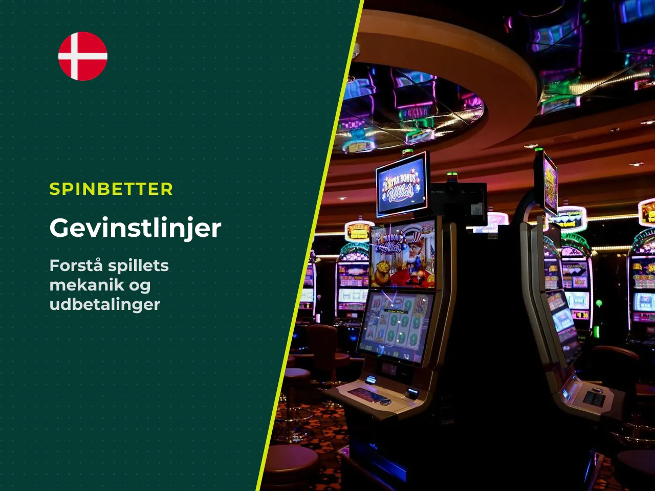 Gevinstlinjer og Udbetalingsmekanik. En gevinstkombination opstår