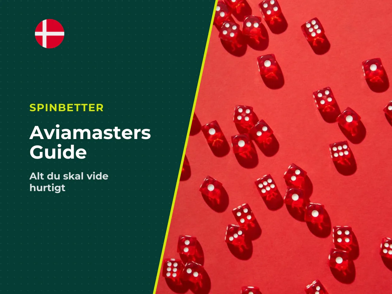 Det vigtigste om Aviamasters, kort fortalt