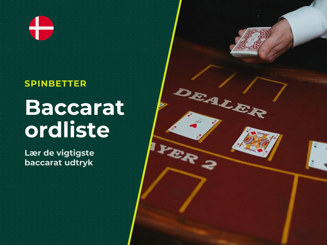 Lille ordliste begreber du møder ved