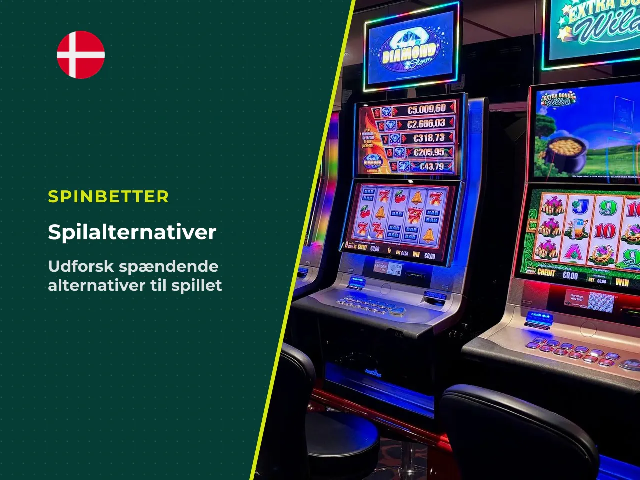 Uddybende om alternativerne 1. Legacy of