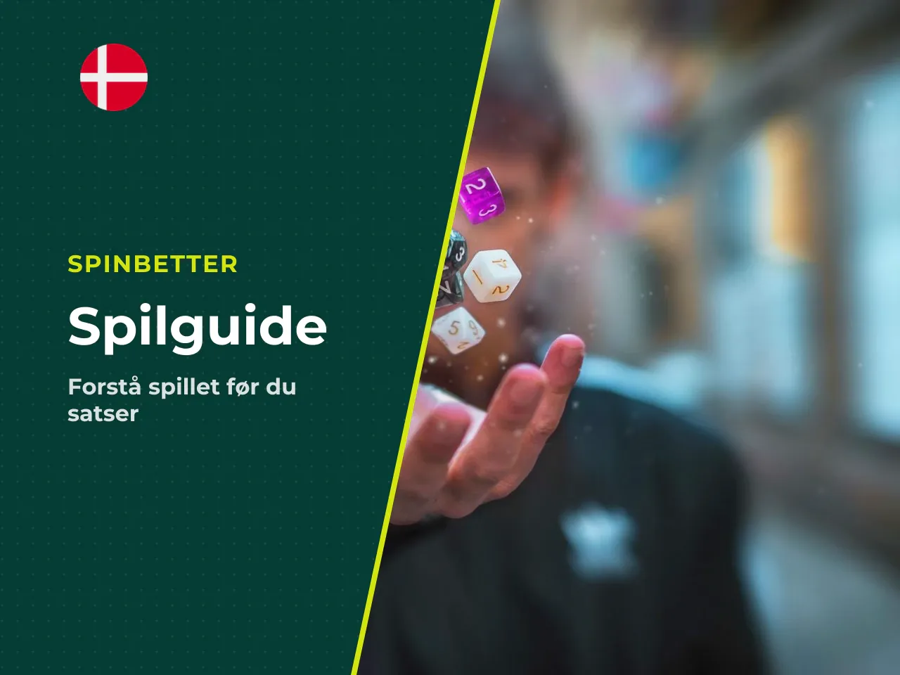 Hvem er denne guide til