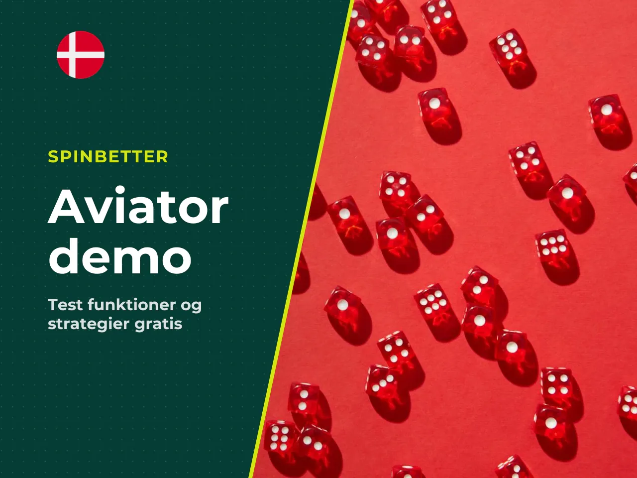 Hvad kan du teste i et