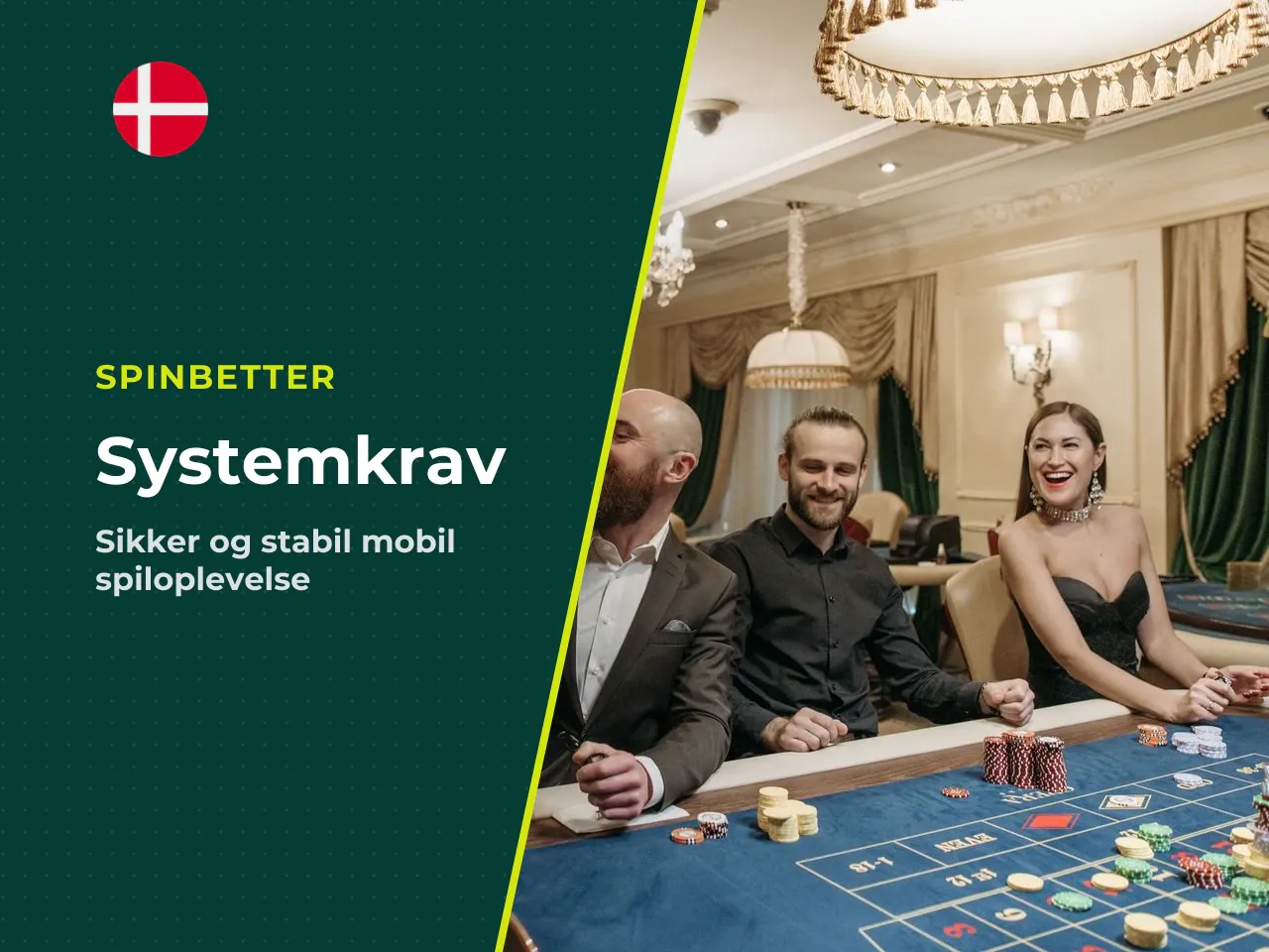 Systemkrav, sikkerhed og ansvarligt spil. For