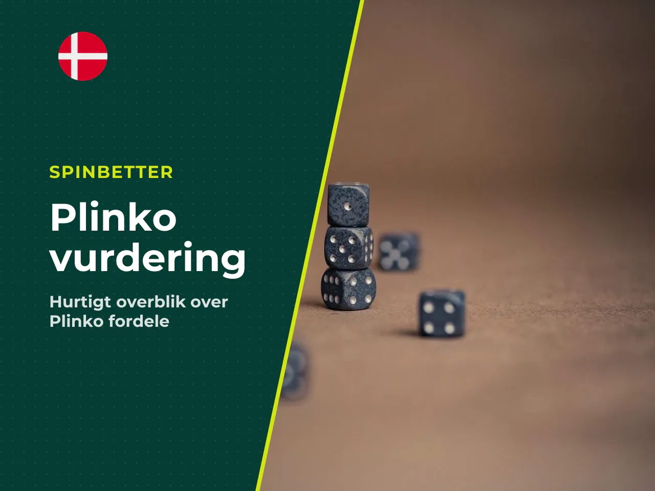 Kort vurdering plusser og minusser ved