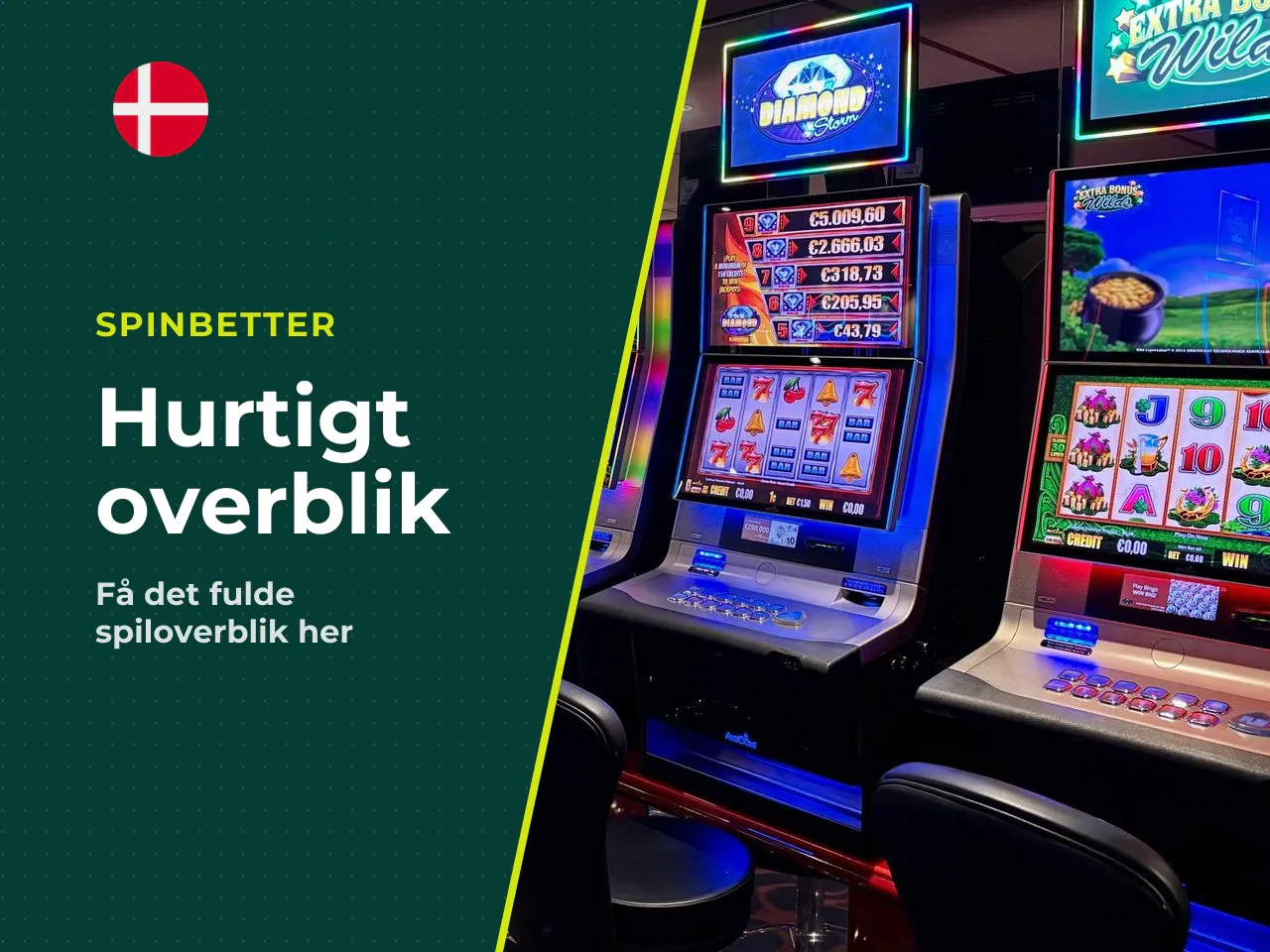 Kort overblik før du læser videre