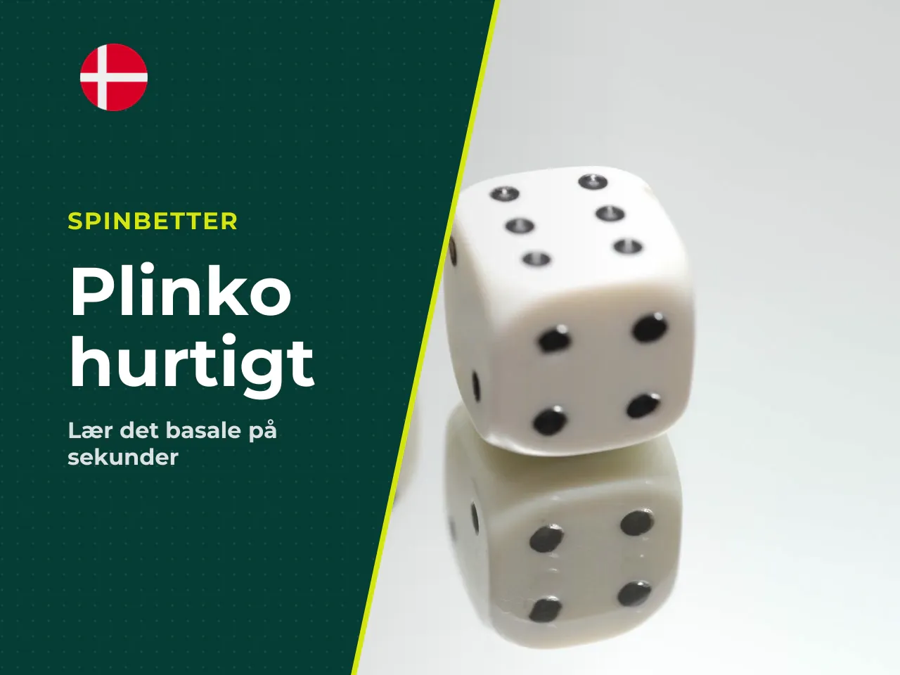 Det vigtigste på 30 sekunder