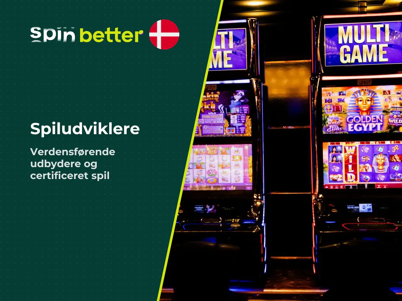 Softwareudbydere og RNG-certificering. Blandt samarbejdspartnerne findes