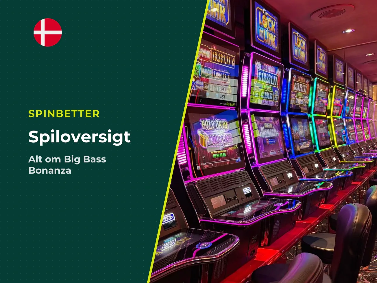 Kort overblik Big Bass Bonanza på